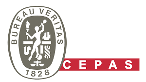 CEPAS CERT. N. IT298253Cert. F-GAS Regolamento (CE) 2067/2015 e DPR 146/2018